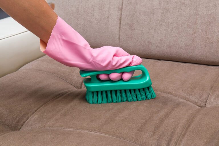 Gloved hand scrubbing sofa with upholstery brush